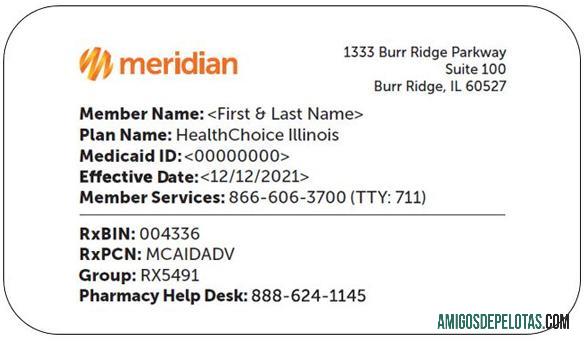 Cartão Médico Illinois HealthChoice dos EUA exemplo real